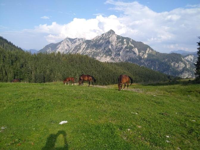שטרובל Mountainlove מראה חיצוני תמונה